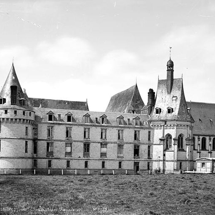 Photo de Château de Mesnières