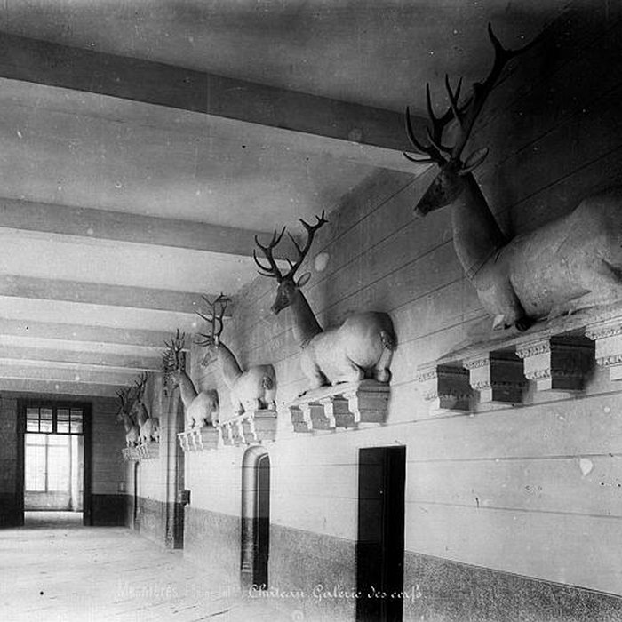Photo de Château de Mesnières