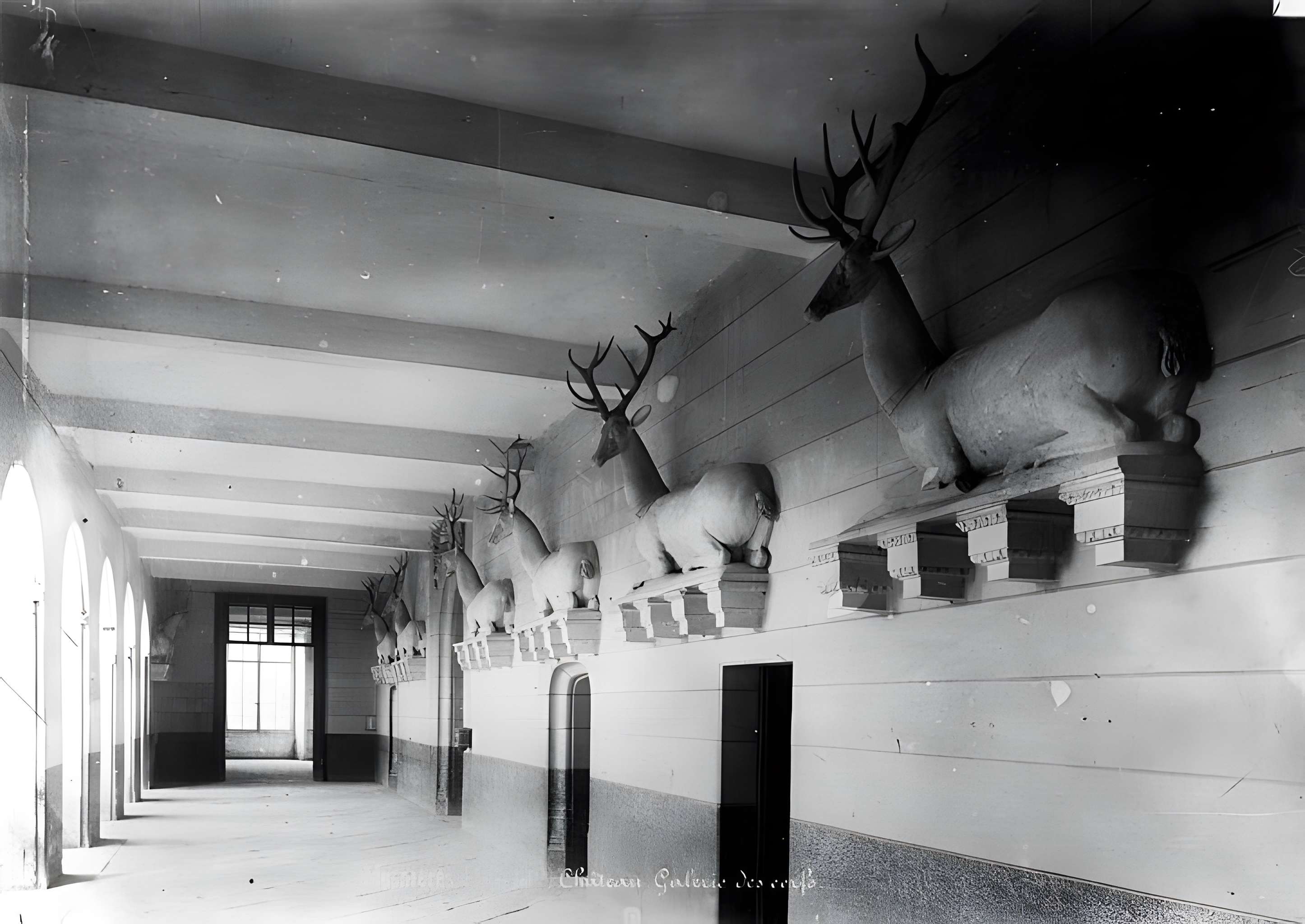 Château de Mesnières