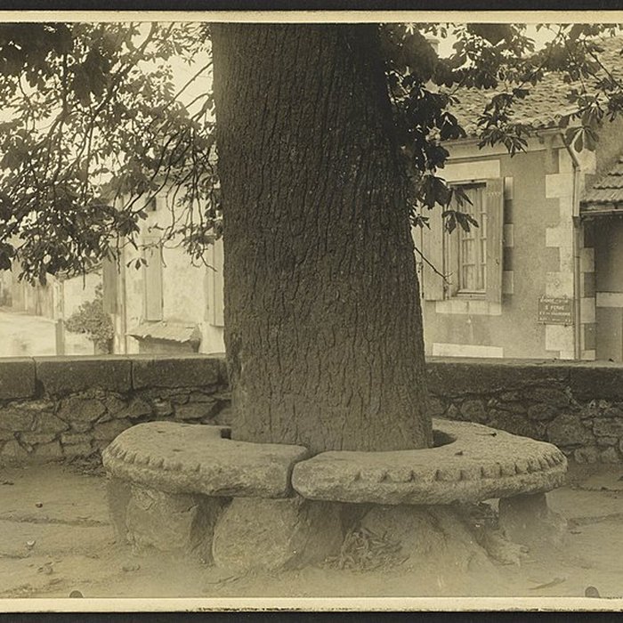 Photo de Église des Bénédictins de Saint-Ferme