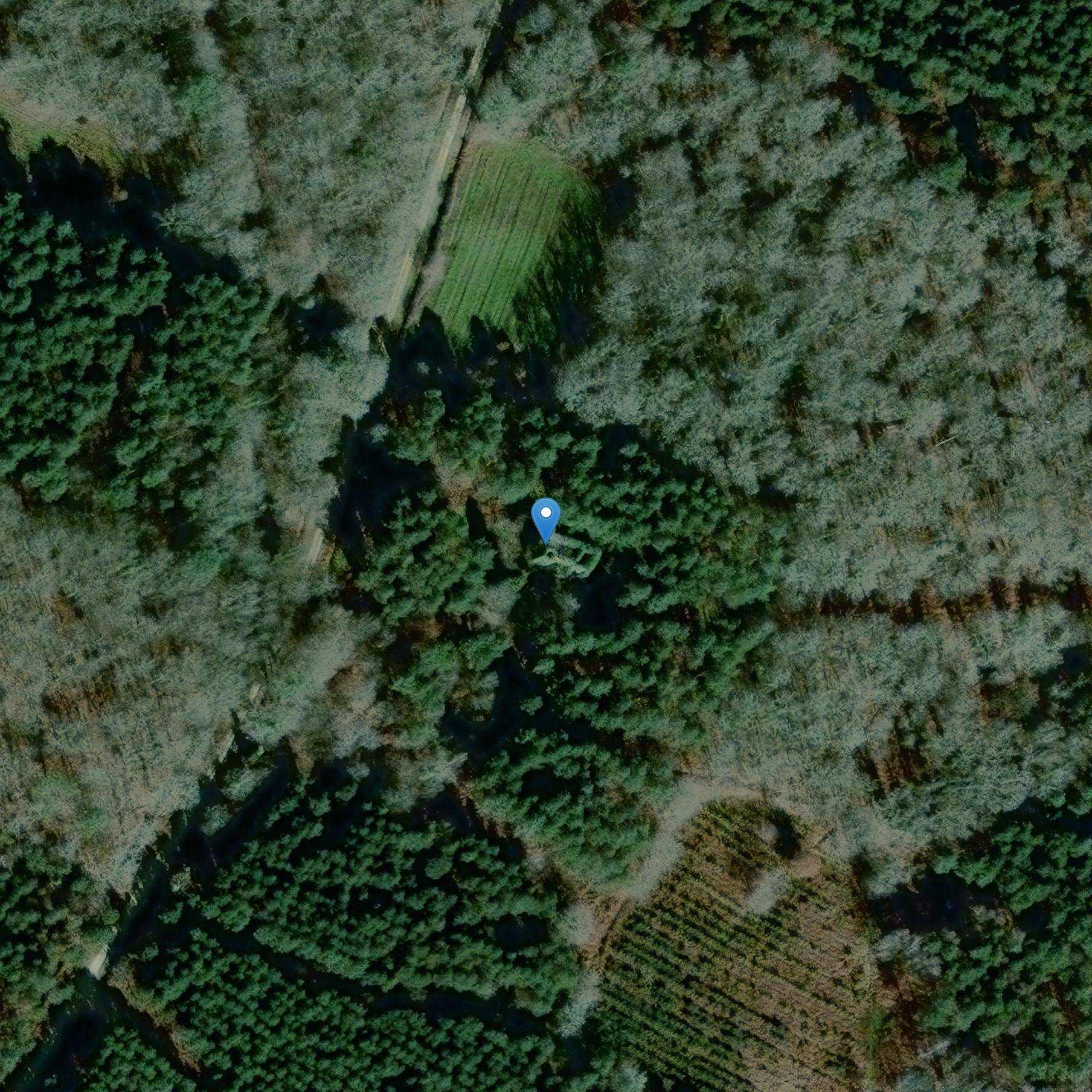 Photo de Iglesia Saint-Cricq de Baudiets