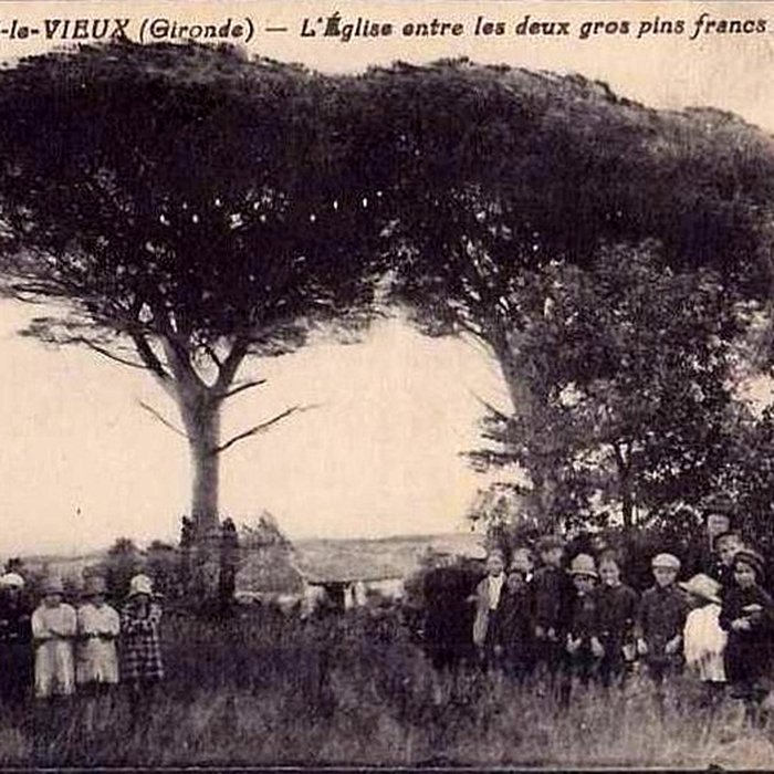 Photo de Église Notre-Dame dAillas-le-Vieux