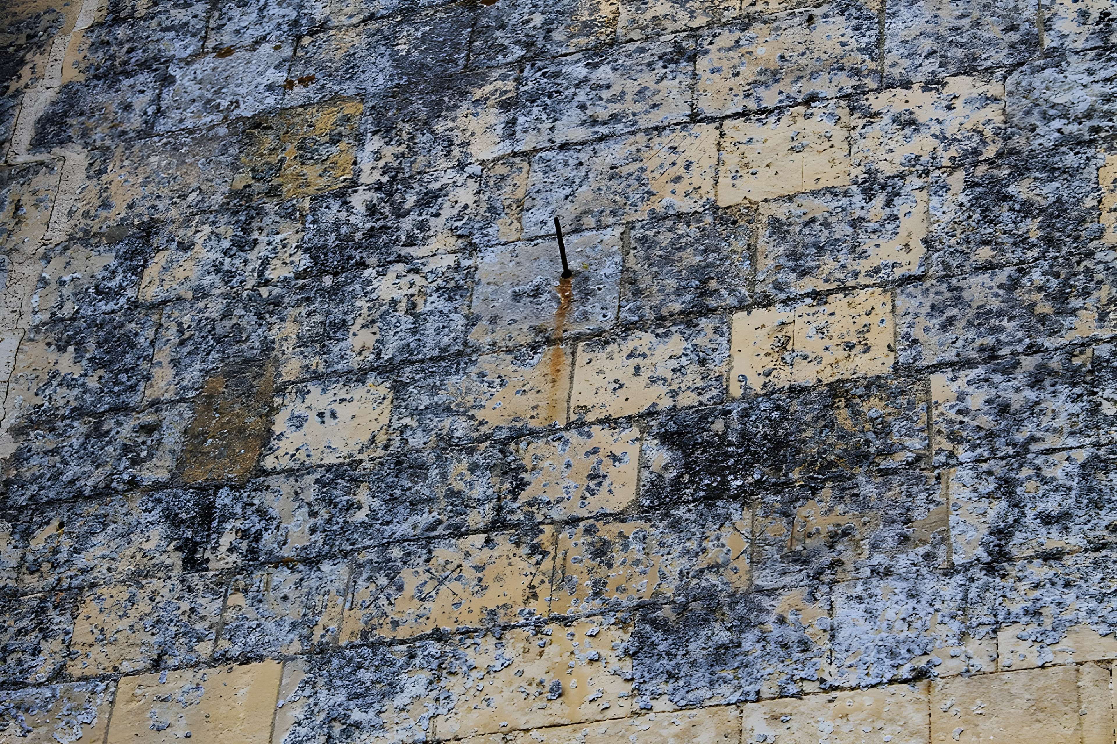 Église Notre-Dame de Biéville