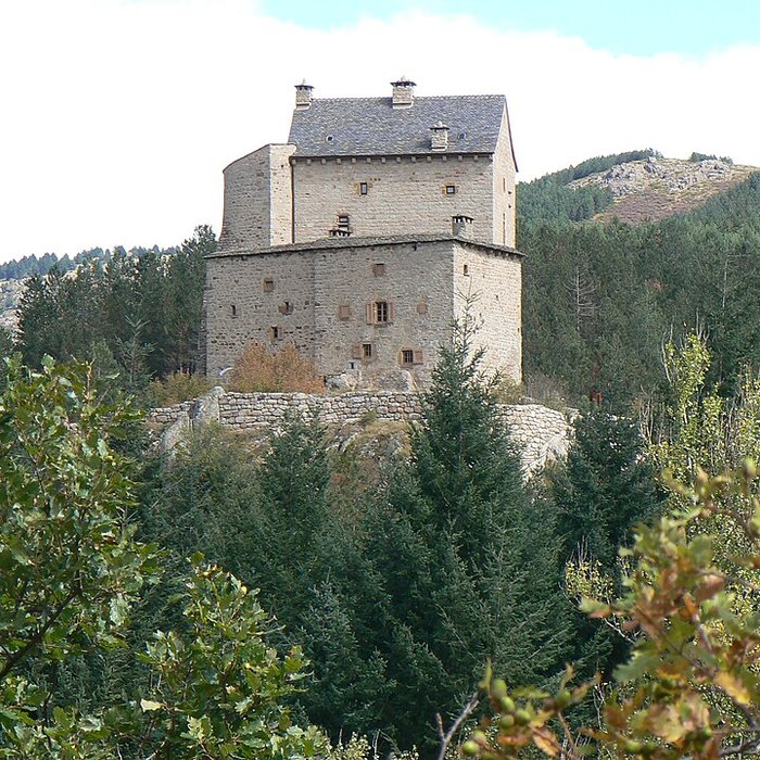 Photo de Château de Miral