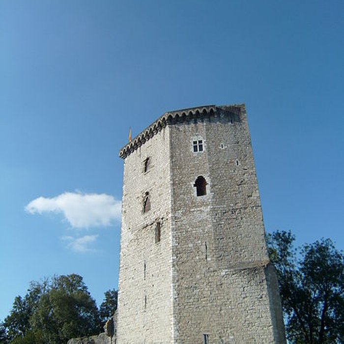 Photo de Château de Moncade