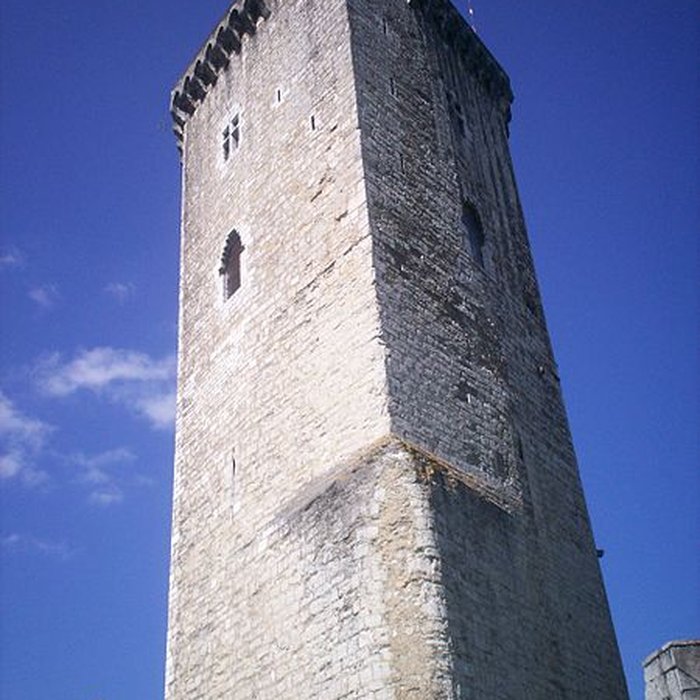 Photo de Château de Moncade