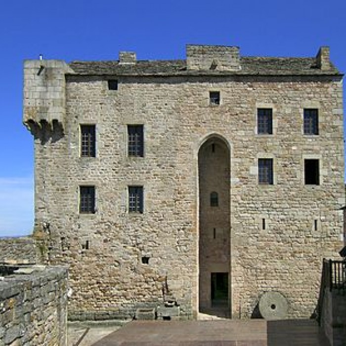 Photo de Château de Montaigut
