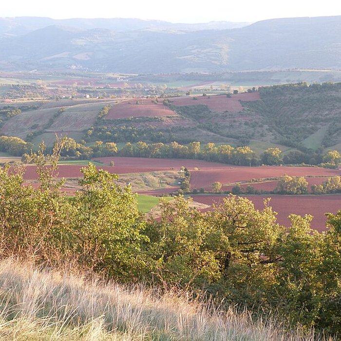 Photo de Château de Montaigut