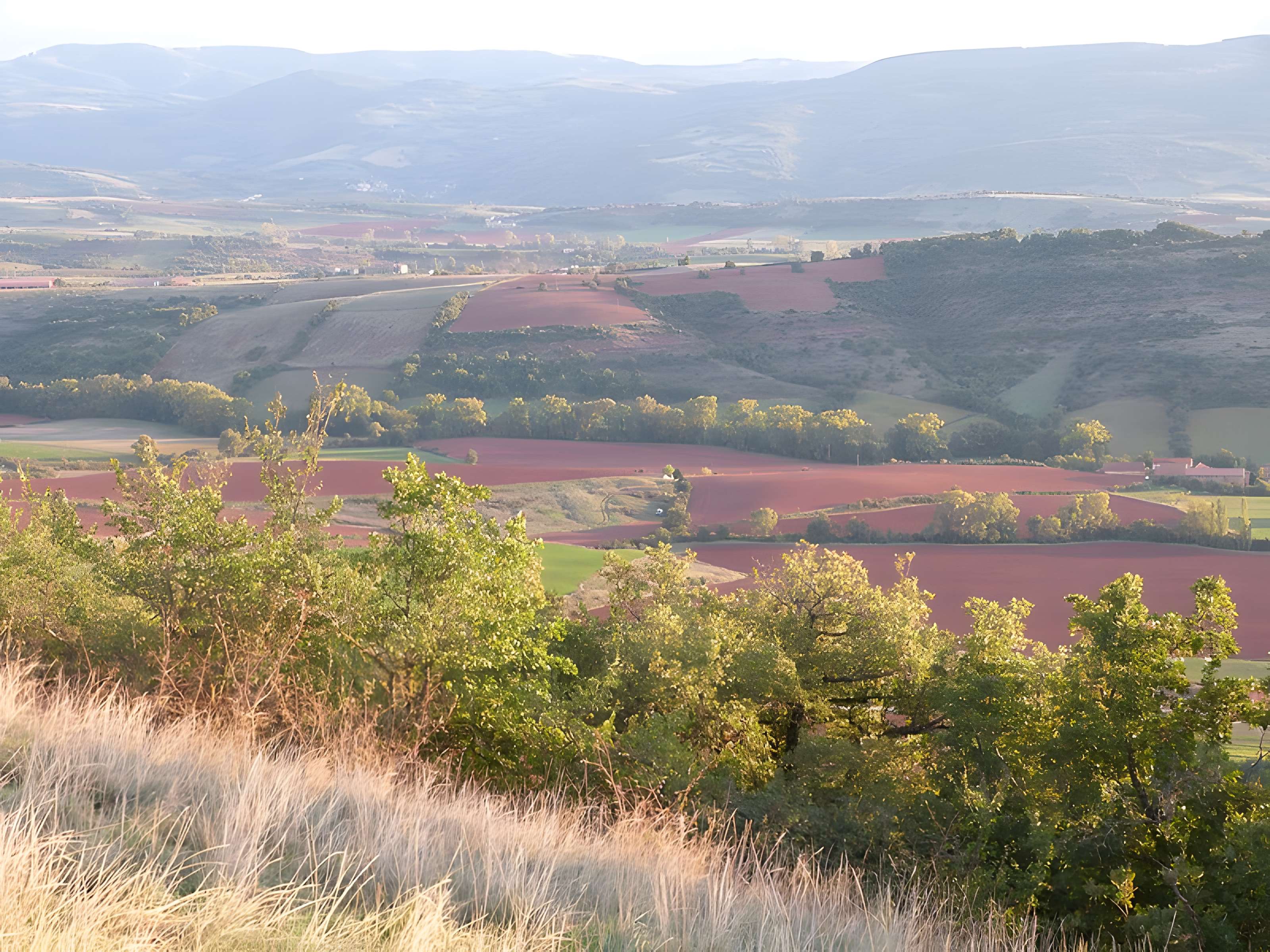 Château de Montaigut