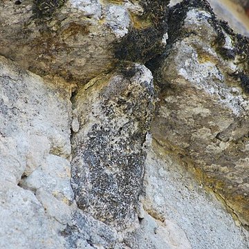 Église Notre-Dame de Massugas