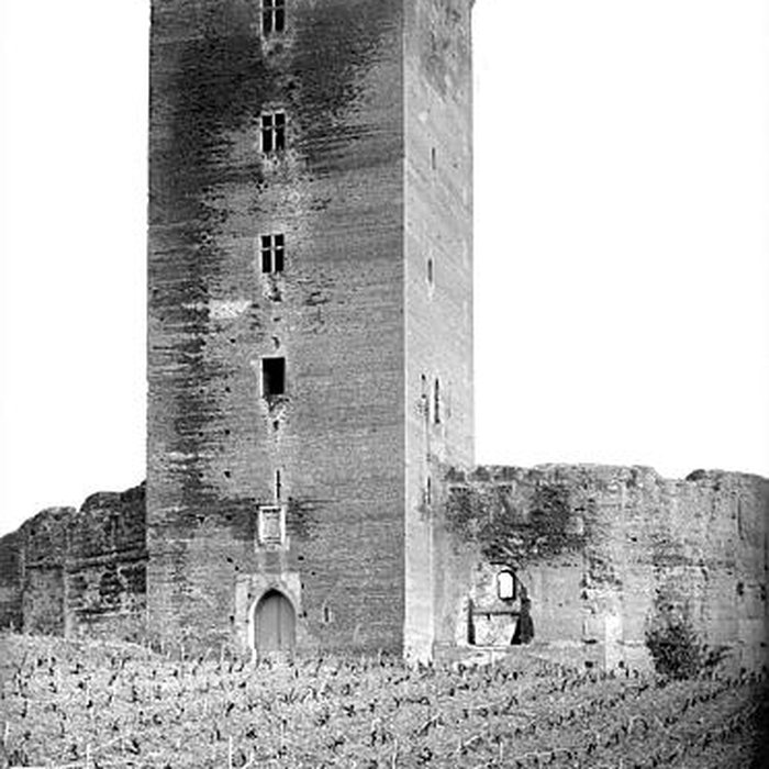 Photo de Château de Montaner