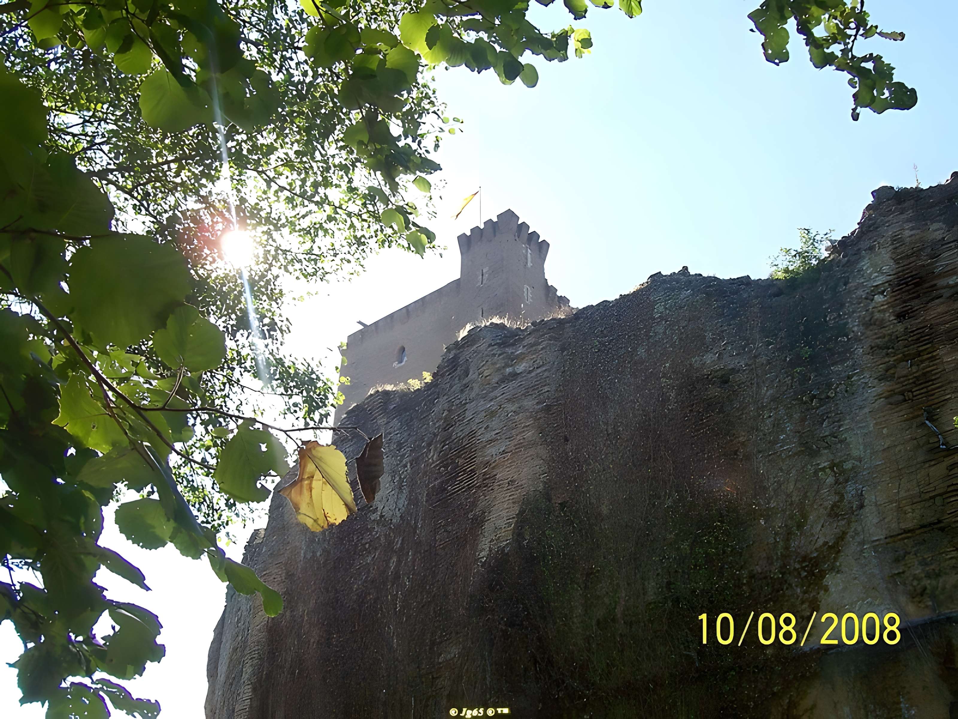 Château de Montaner