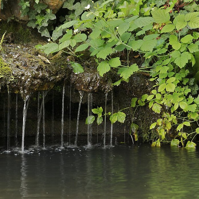 Photo de Château de Monte-Cristo