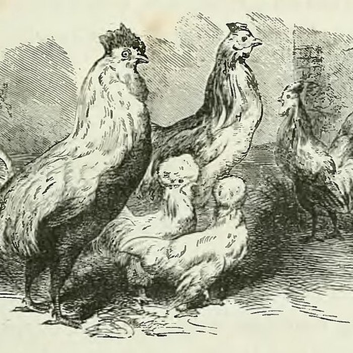 Photo de Château de Monte-Cristo