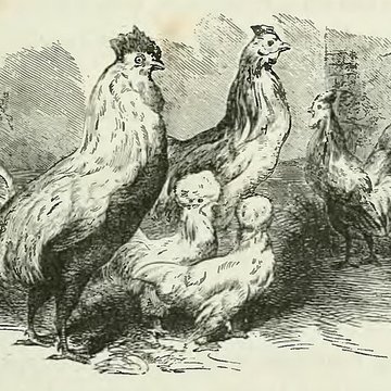 Château de Monte-Cristo