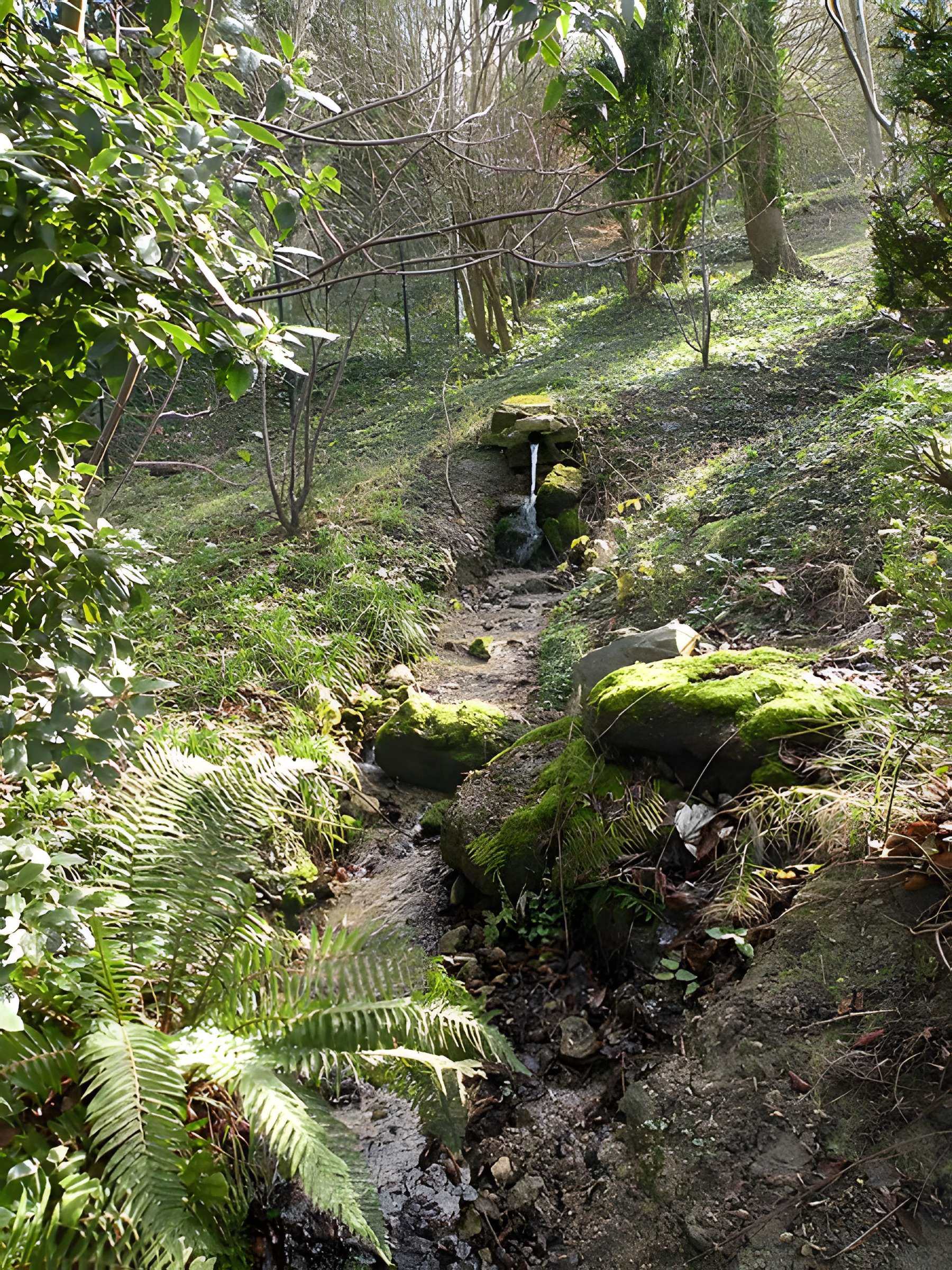 Château de Monte-Cristo