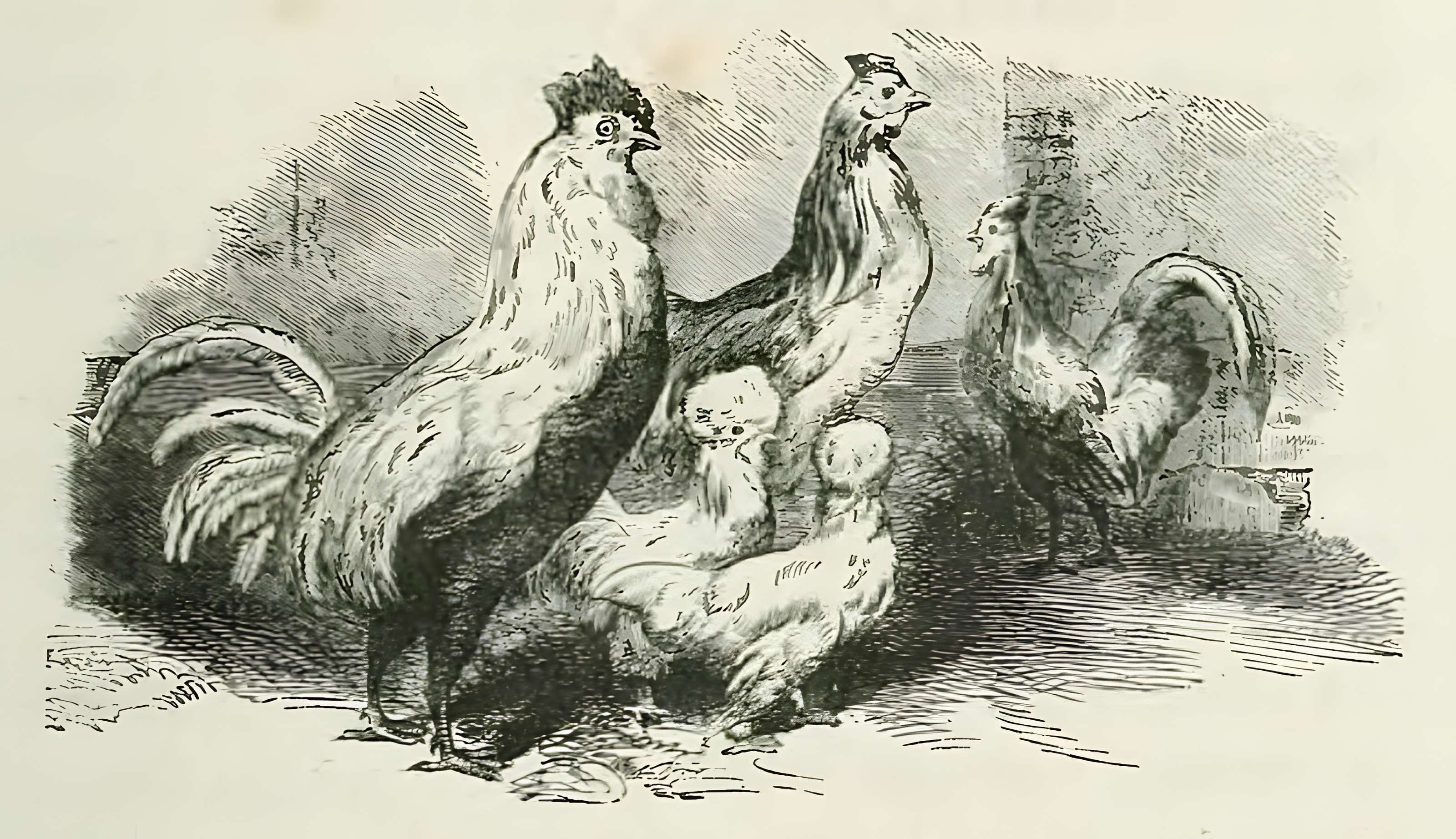 Château de Monte-Cristo