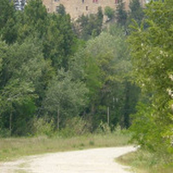 Photo de Château de Montfaucon