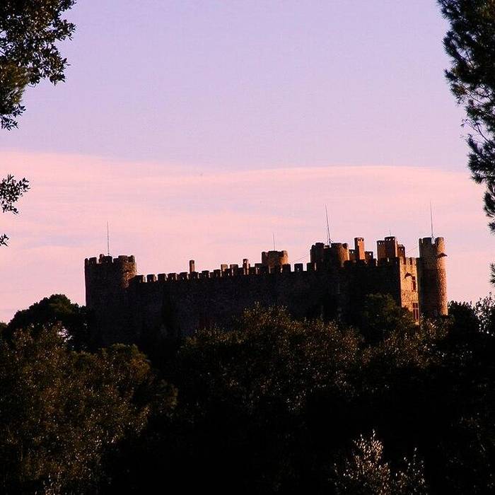 Photo de Château de Montfaucon