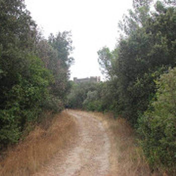 Photo de Château de Montfaucon