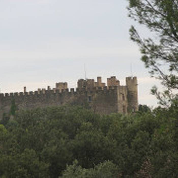 Photo de Château de Montfaucon