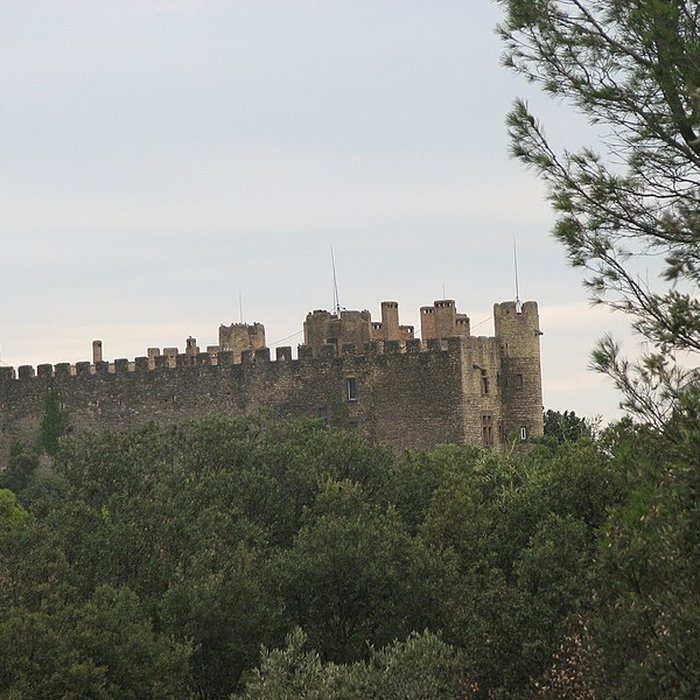 Photo de Château de Montfaucon