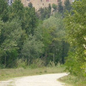 Château de Montfaucon