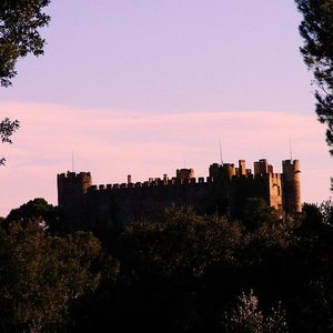 Château de Montfaucon