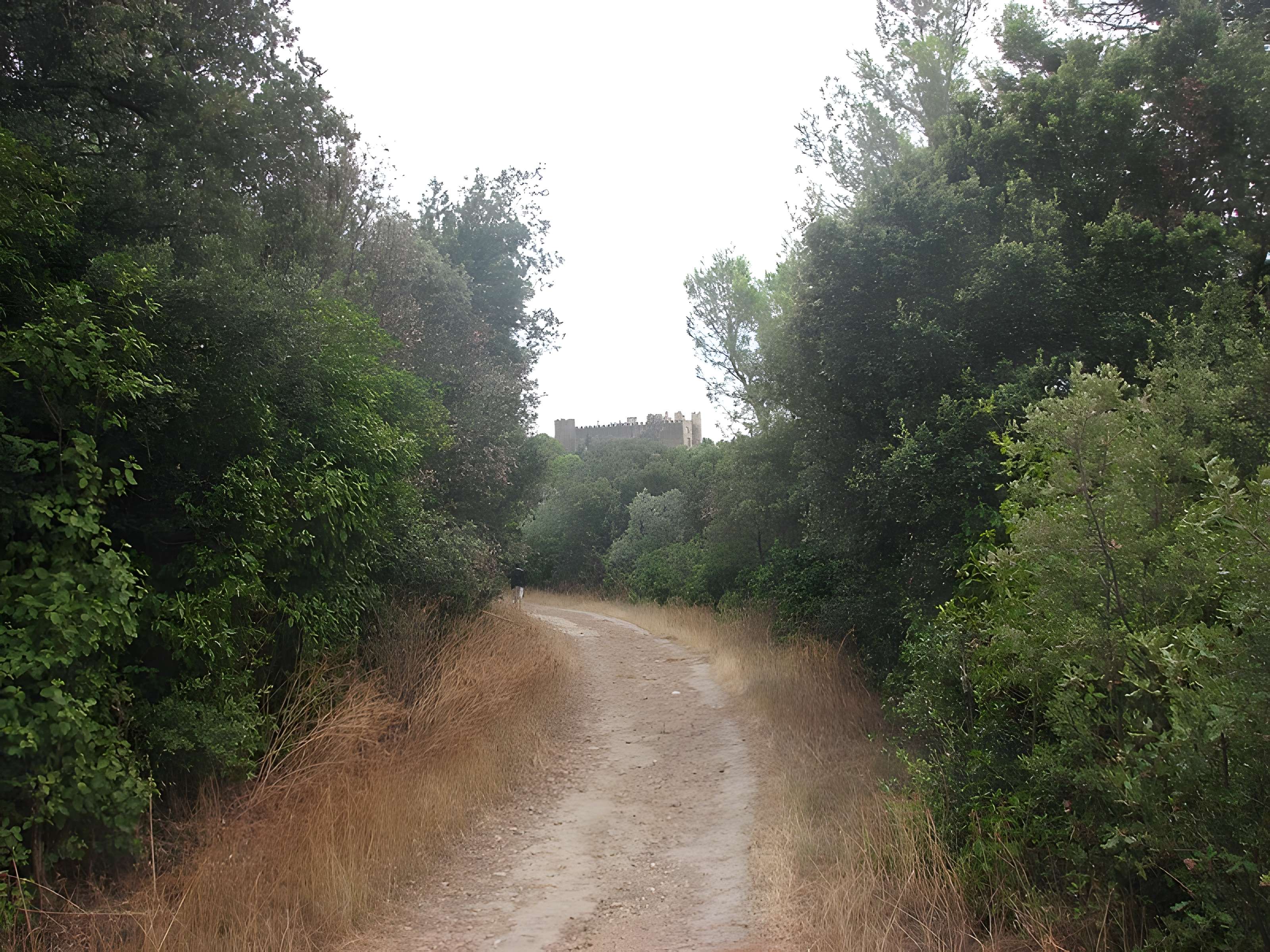 Château de Montfaucon