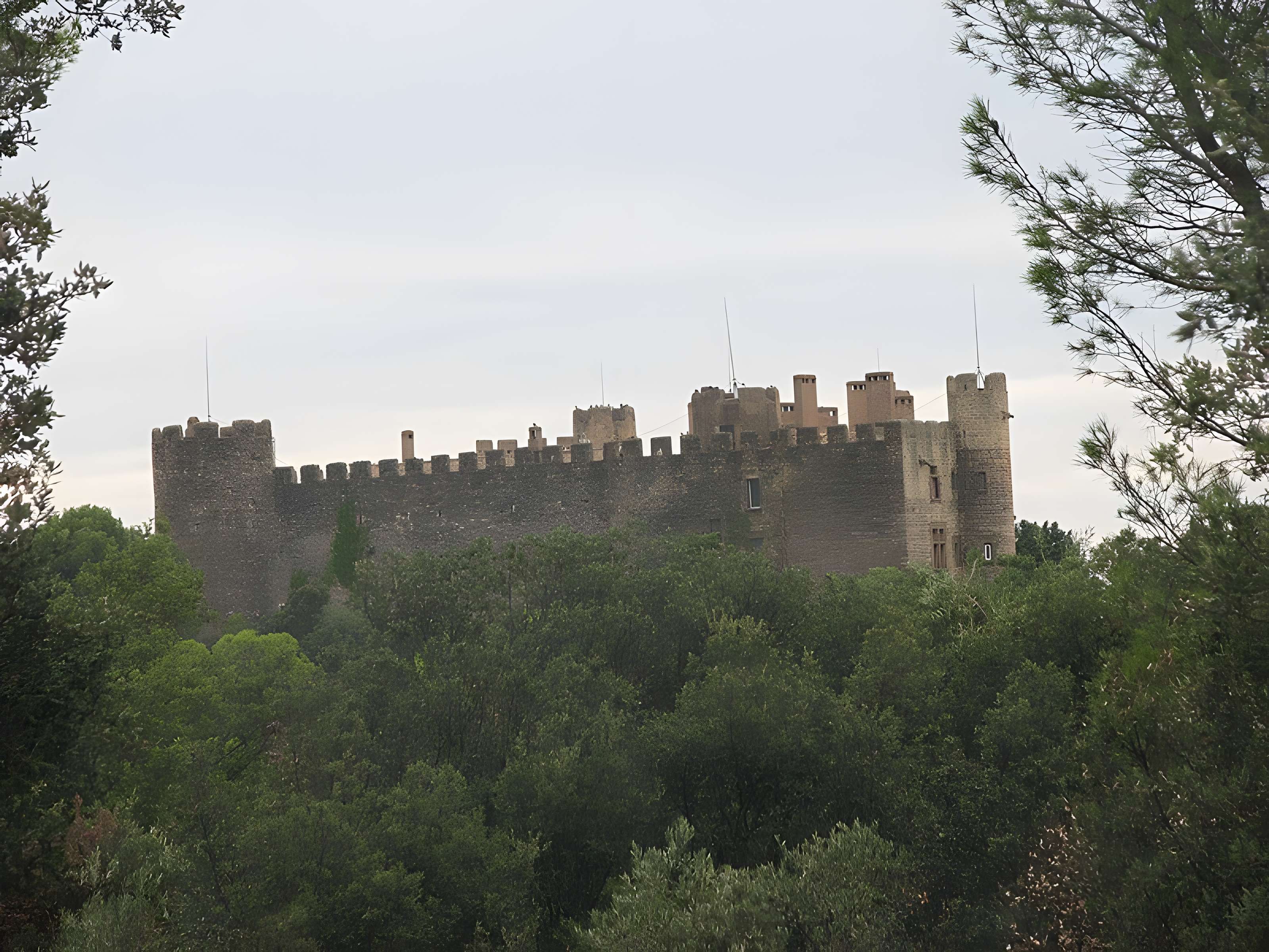 Château de Montfaucon