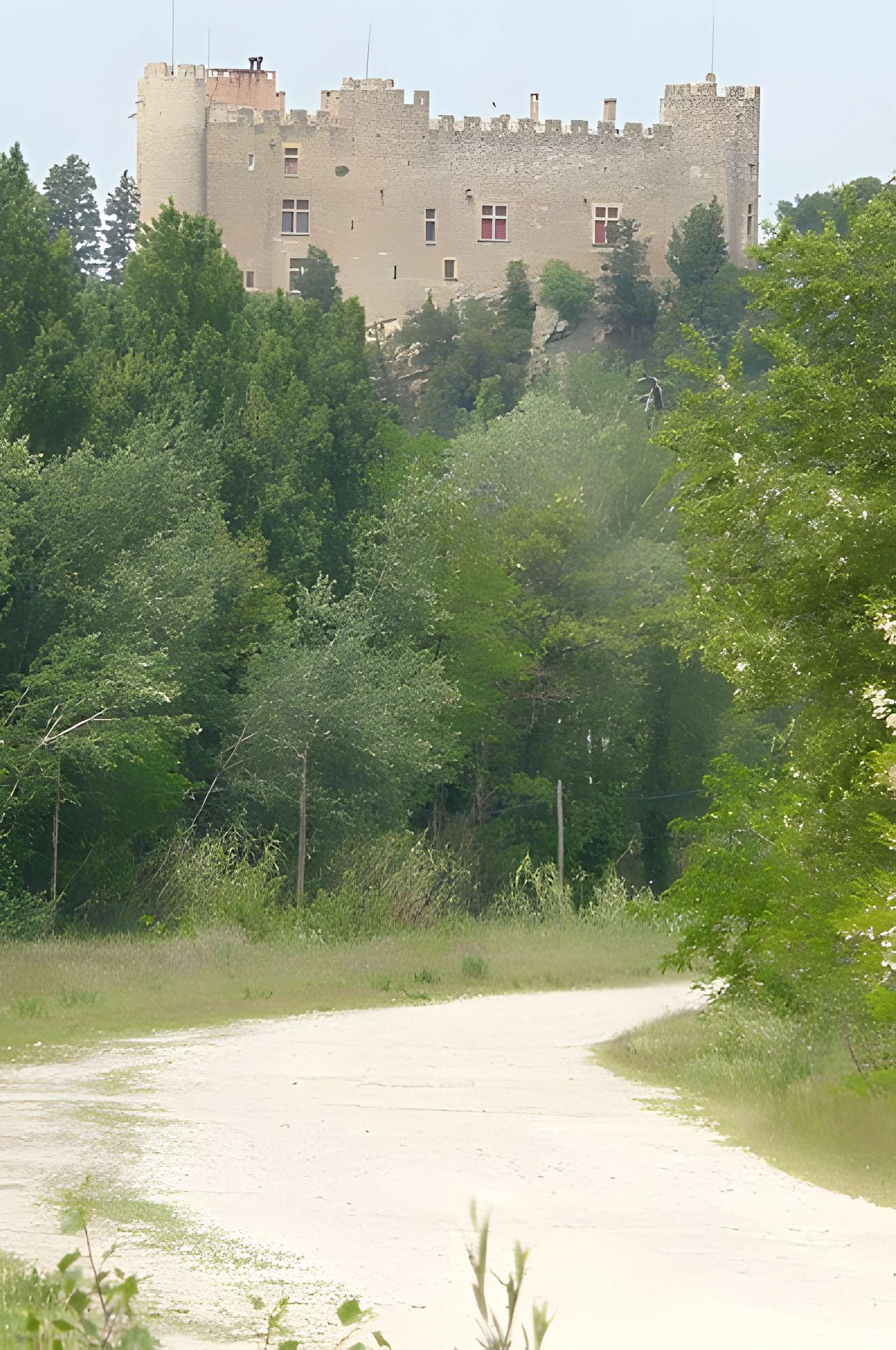 Château de Montfaucon
