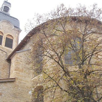 Église Notre-Dame-de-lAssomption de Neuville-sur-Saône