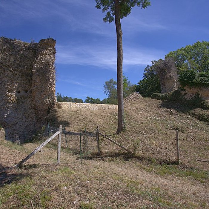 Photo de Château de Montfort-sur-Risle