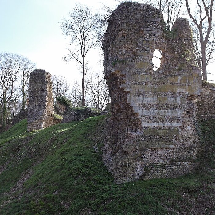 Photo de Château de Montfort-sur-Risle