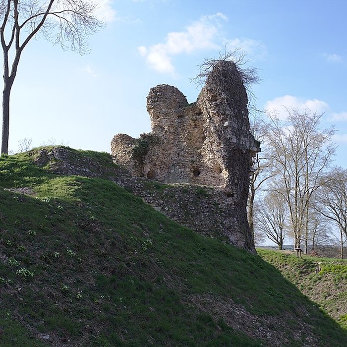Photo de Château de Montfort-sur-Risle