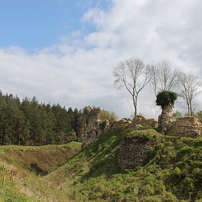 Photo de Château de Montfort-sur-Risle