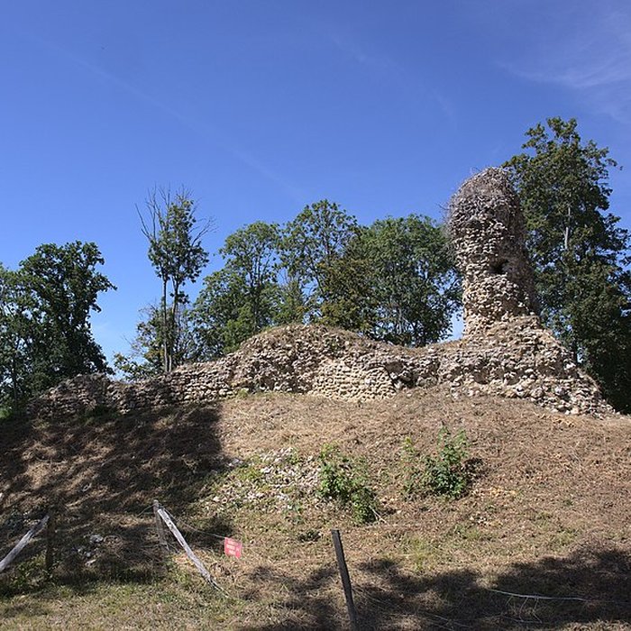 Photo de Château de Montfort-sur-Risle