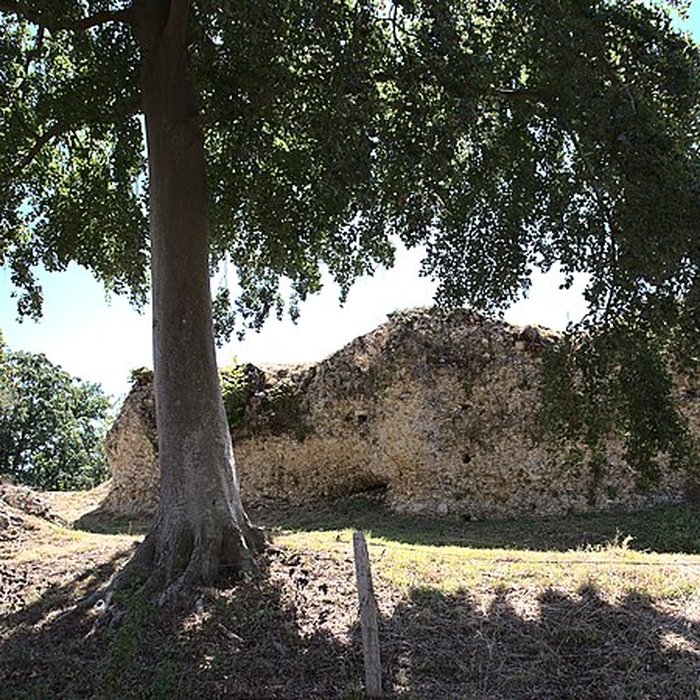 Photo de Château de Montfort-sur-Risle
