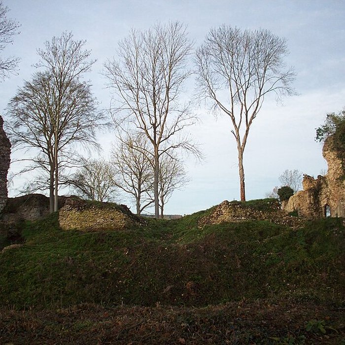 Photo de Château de Montfort-sur-Risle