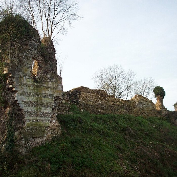 Photo de Château de Montfort-sur-Risle