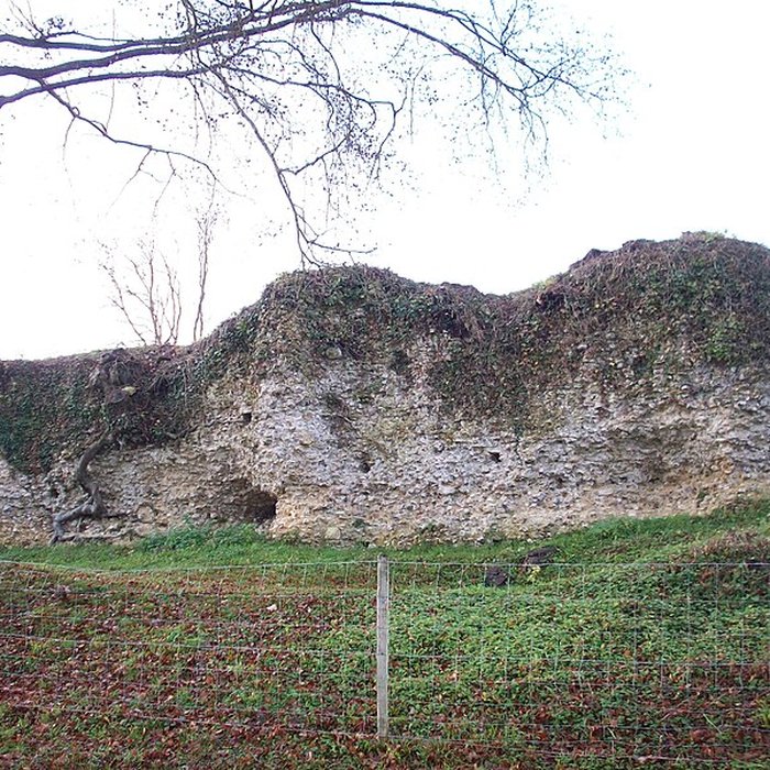 Photo de Château de Montfort-sur-Risle