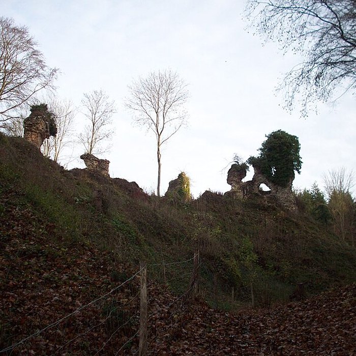 Photo de Château de Montfort-sur-Risle