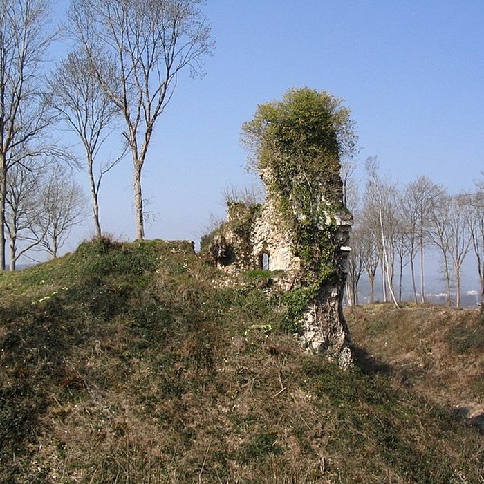 Photo de Château de Montfort-sur-Risle
