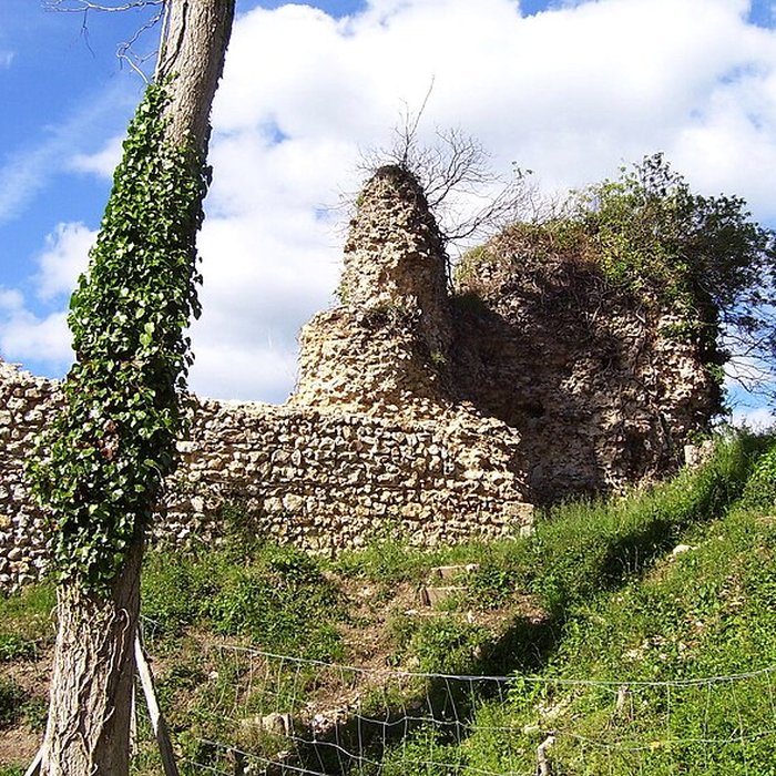 Photo de Château de Montfort-sur-Risle