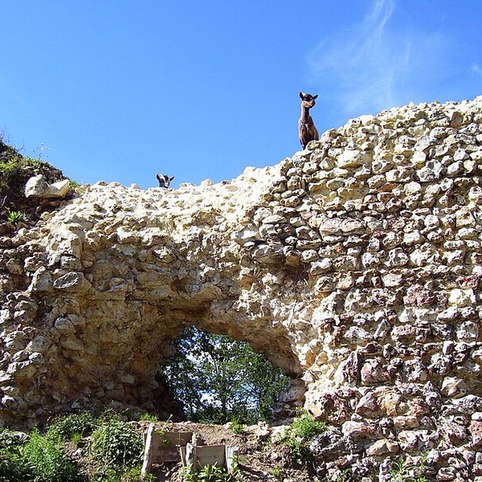 Photo de Château de Montfort-sur-Risle