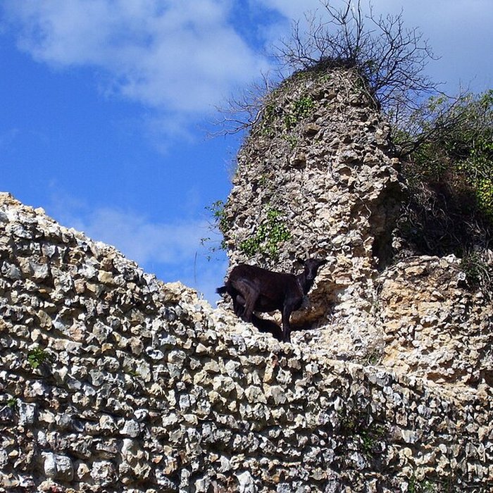 Photo de Château de Montfort-sur-Risle