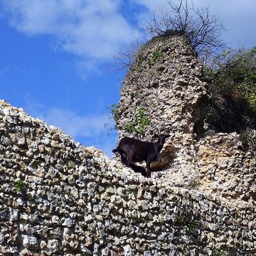 Château de Montfort-sur-Risle