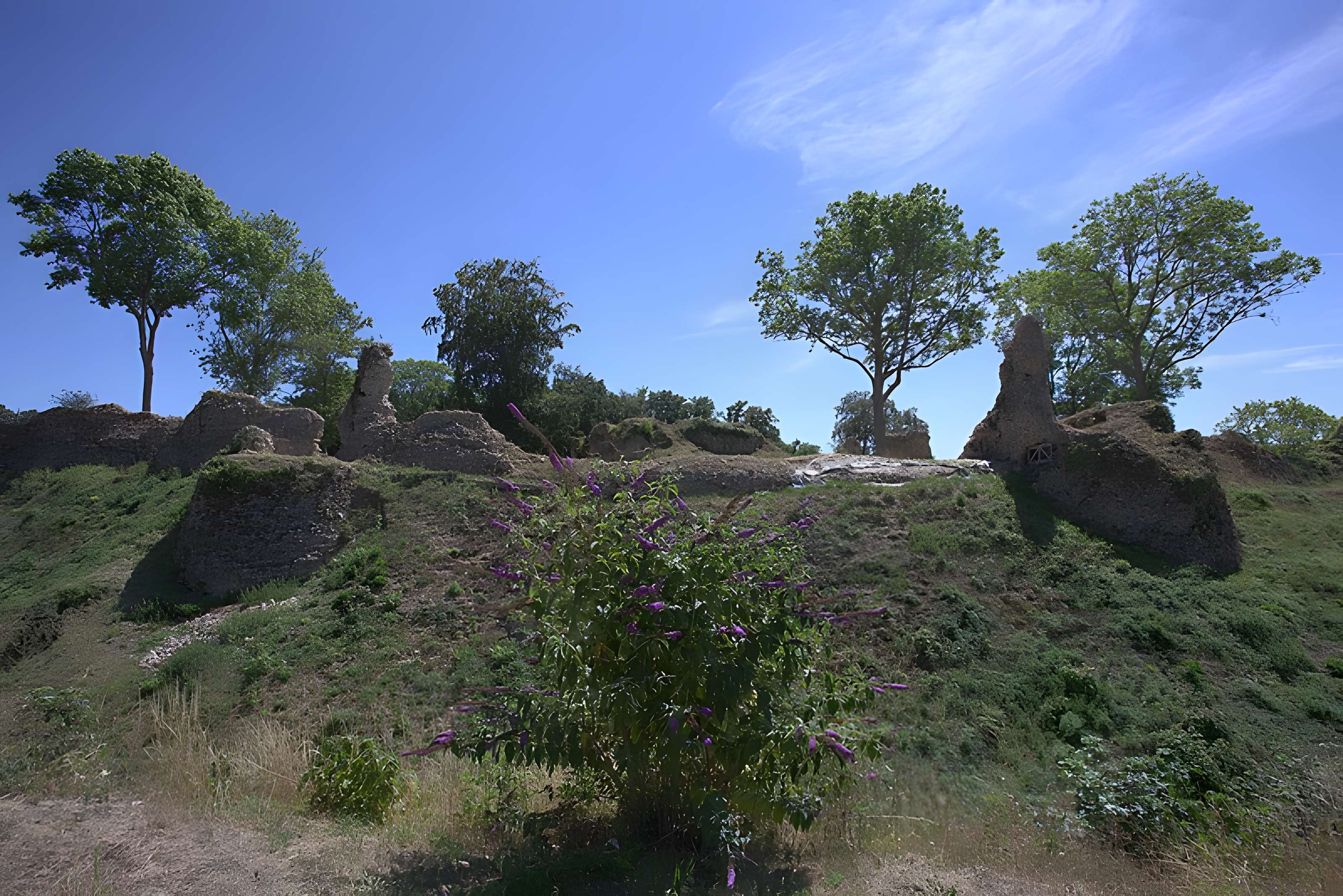 Château de Montfort-sur-Risle