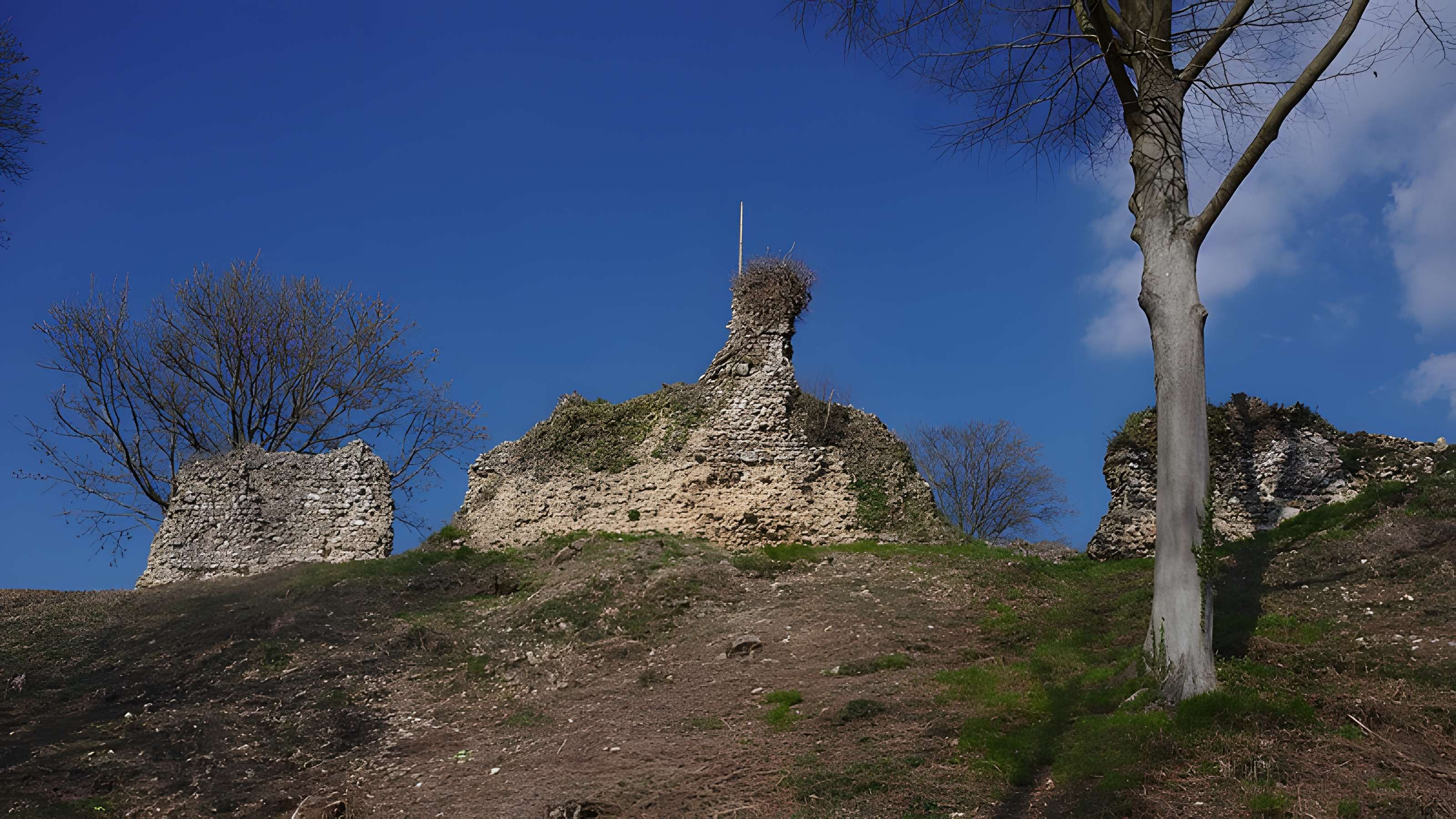 Château de Montfort-sur-Risle
