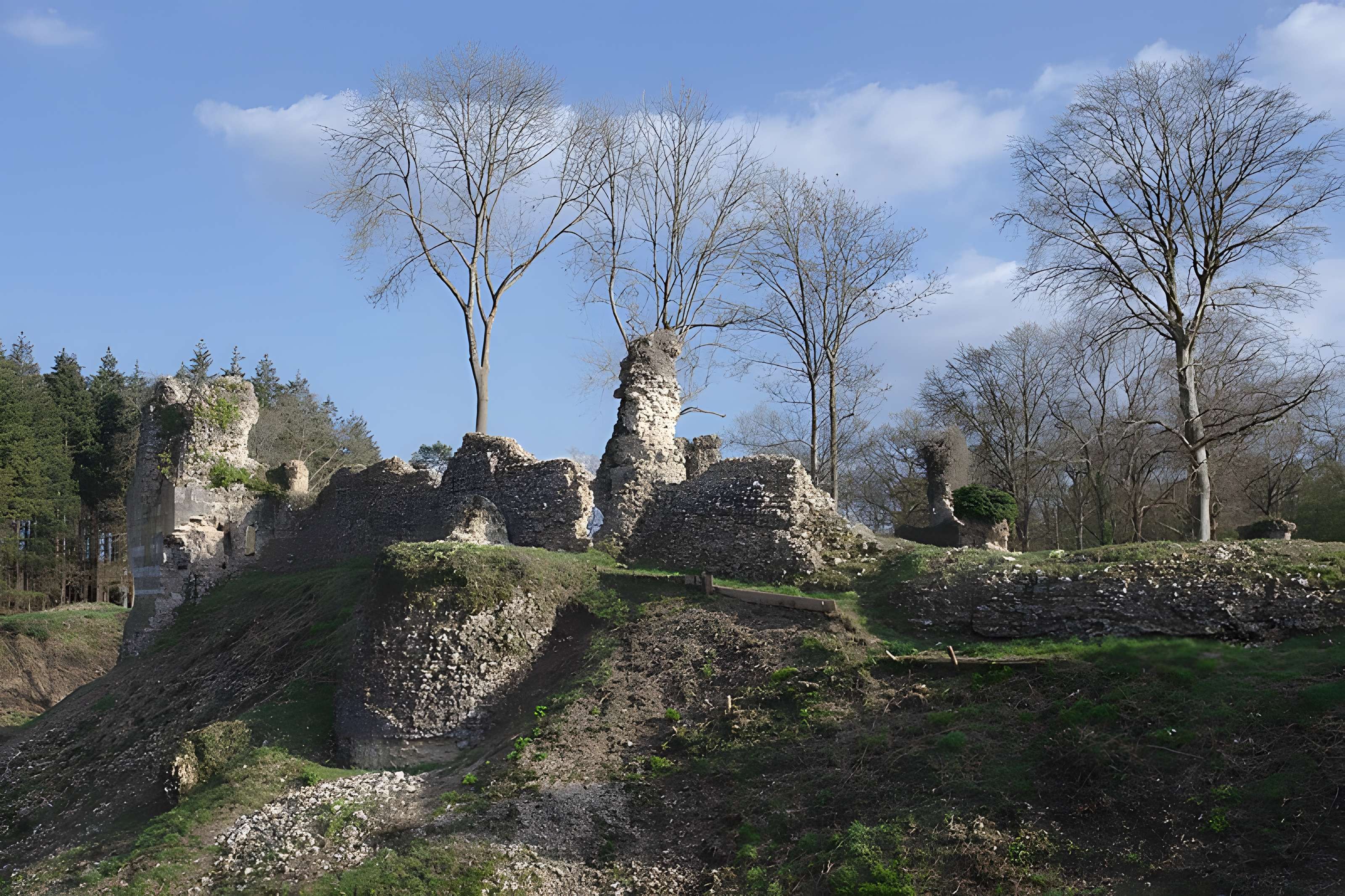 Château de Montfort-sur-Risle
